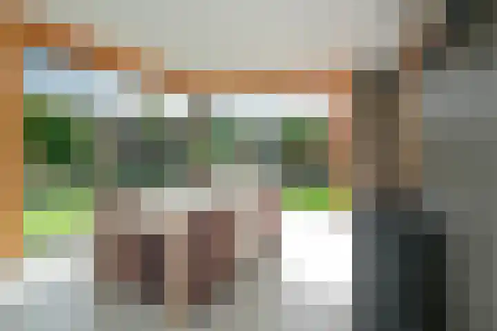 Knoopshöfte 29 Almelo thumbnail 4