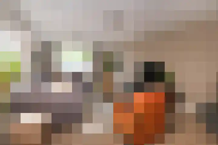 Knoopshöfte 29 Almelo thumbnail 5