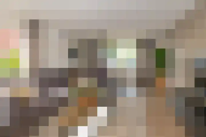 Knoopshöfte 29 Almelo thumbnail 6