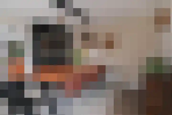 Knoopshöfte 29 Almelo thumbnail 9