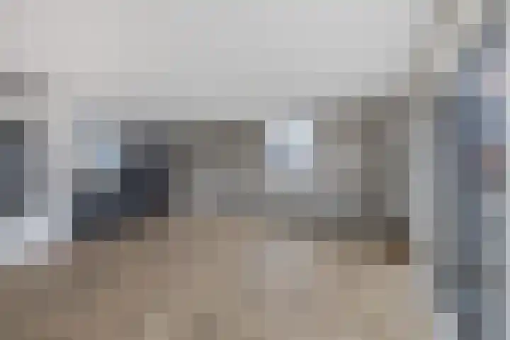 Knopbies 120 Assendelft thumbnail 16