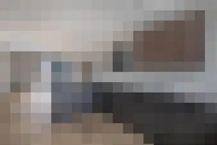 Knopbies 120 Assendelft thumbnail 18