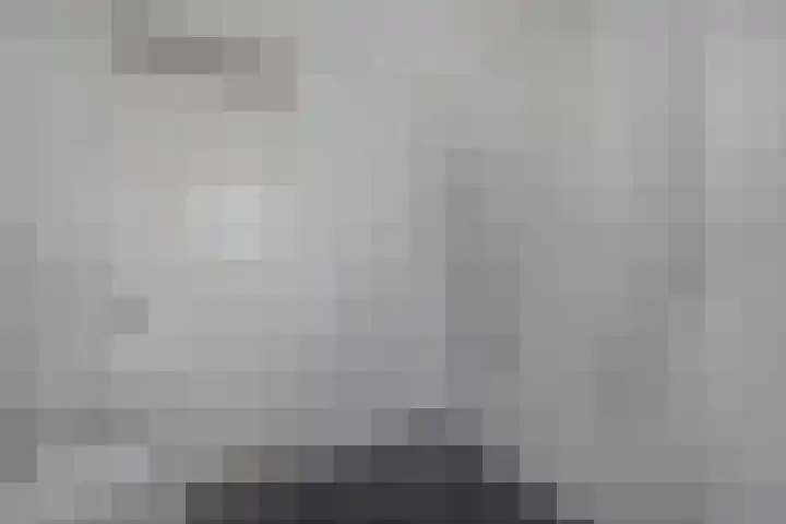 Knopbies 120 Assendelft thumbnail 28