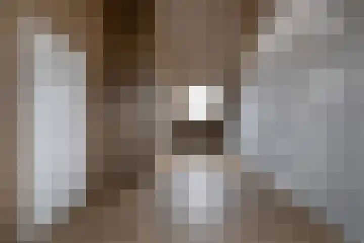 Knopbies 120 Assendelft thumbnail 30
