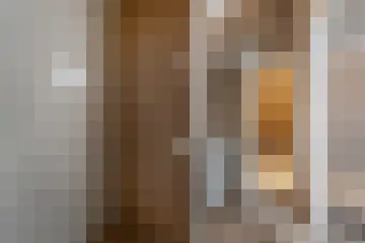 Knopbies 120 Assendelft thumbnail 31