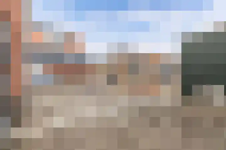 Knopbies 120 Assendelft thumbnail 34