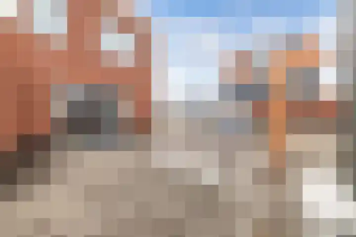 Knopbies 120 Assendelft thumbnail 35