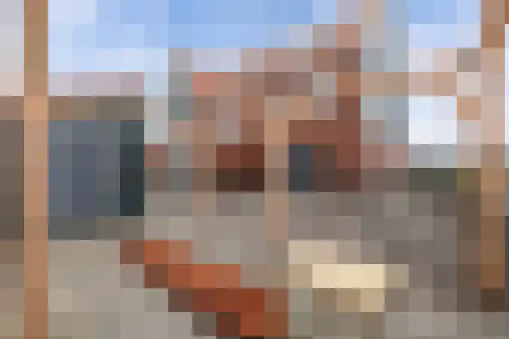 Knopbies 120 Assendelft thumbnail 37