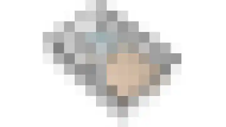 Knopbies 120 Assendelft thumbnail 43