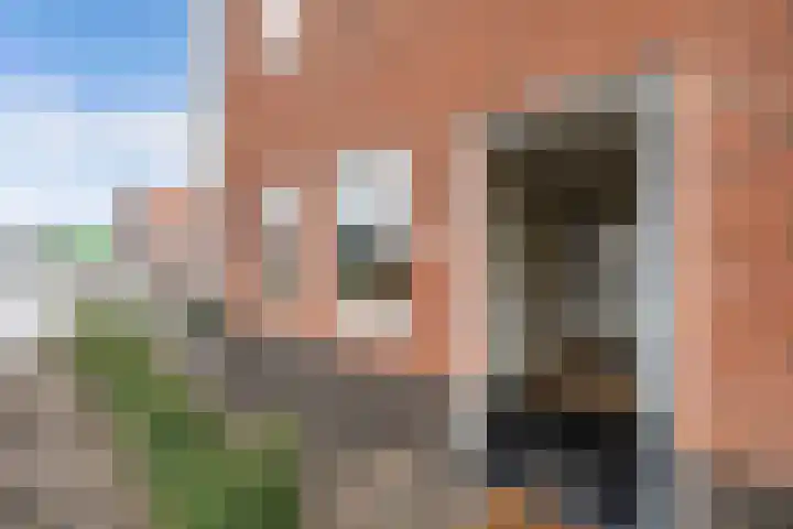 Knopbies 120 Assendelft thumbnail 6