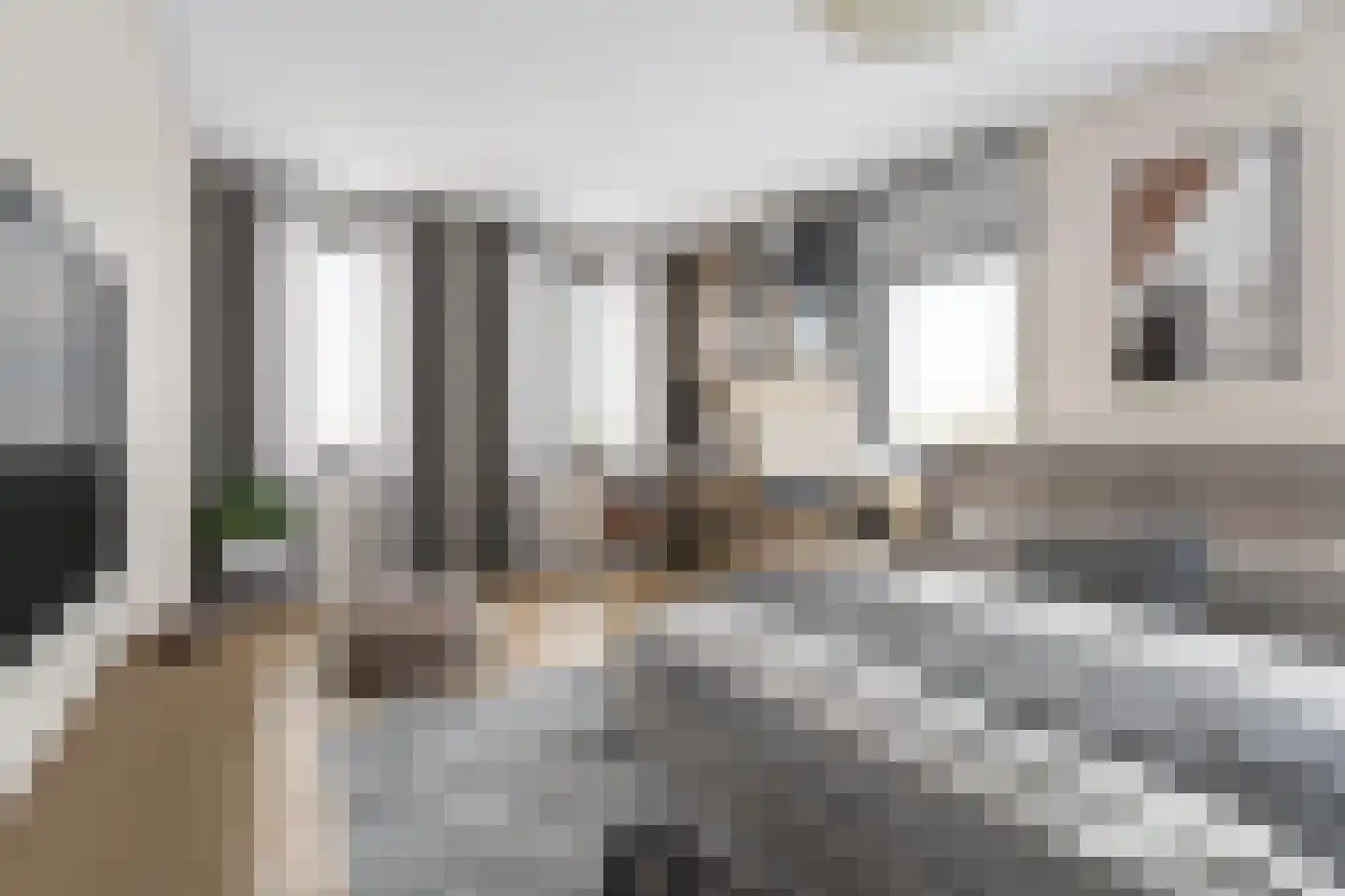 Knopbies 15 Assendelft thumbnail 17