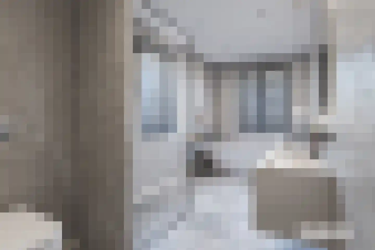 Knopbies 15 Assendelft thumbnail 23