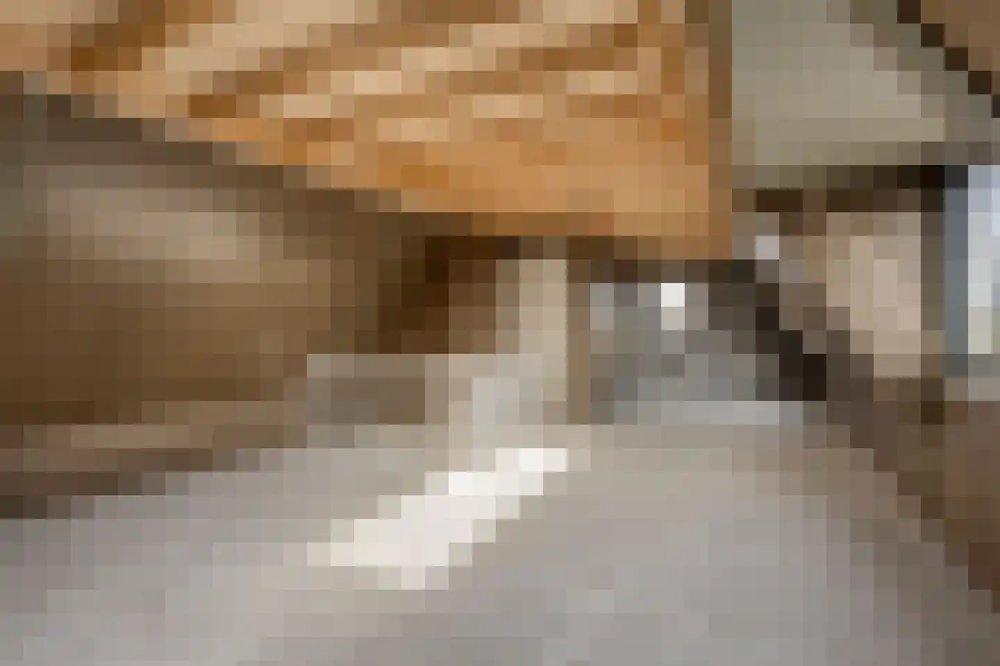 Knopbies 15 Assendelft thumbnail 26