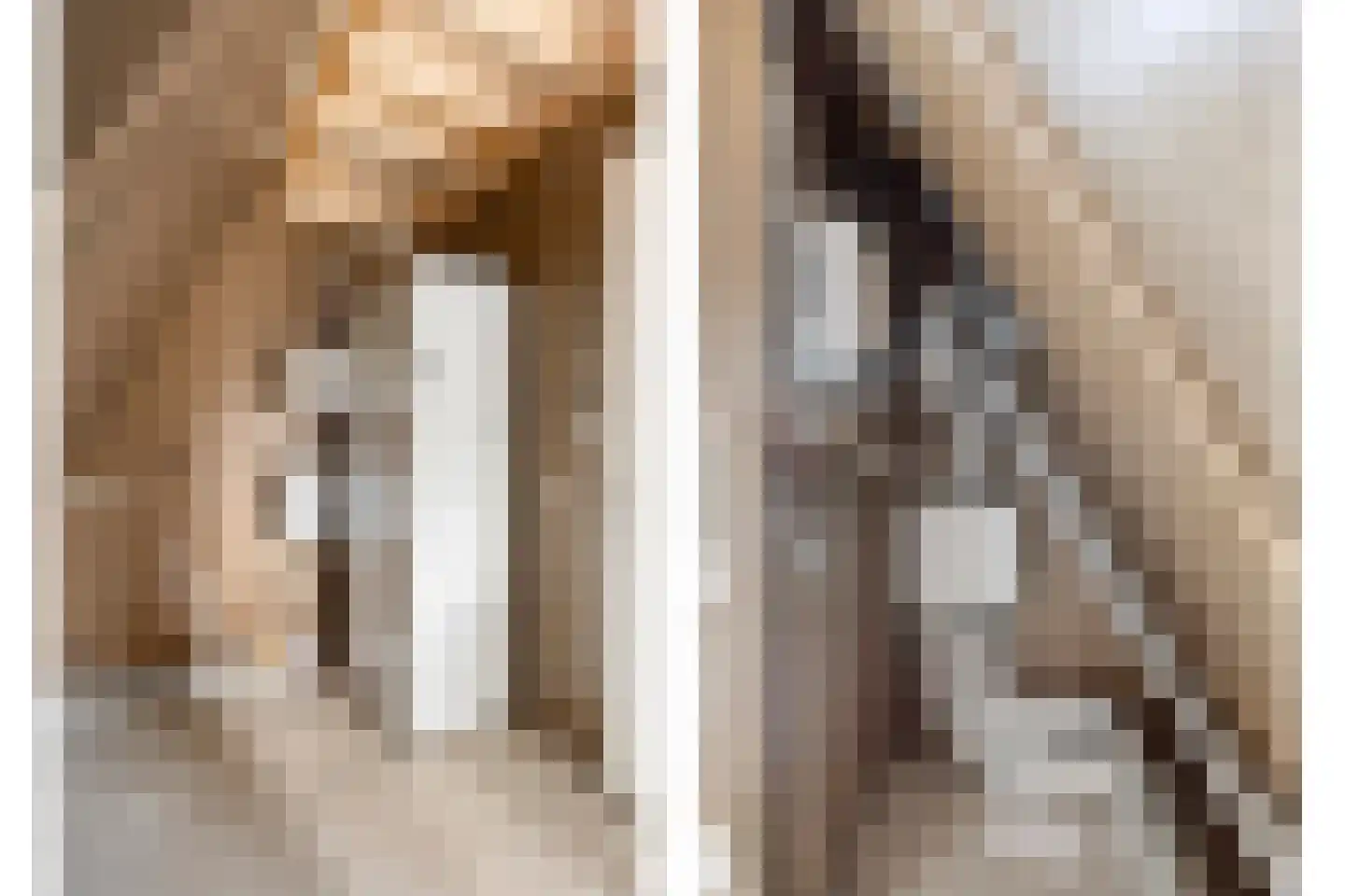 Knopbies 15 Assendelft thumbnail 29