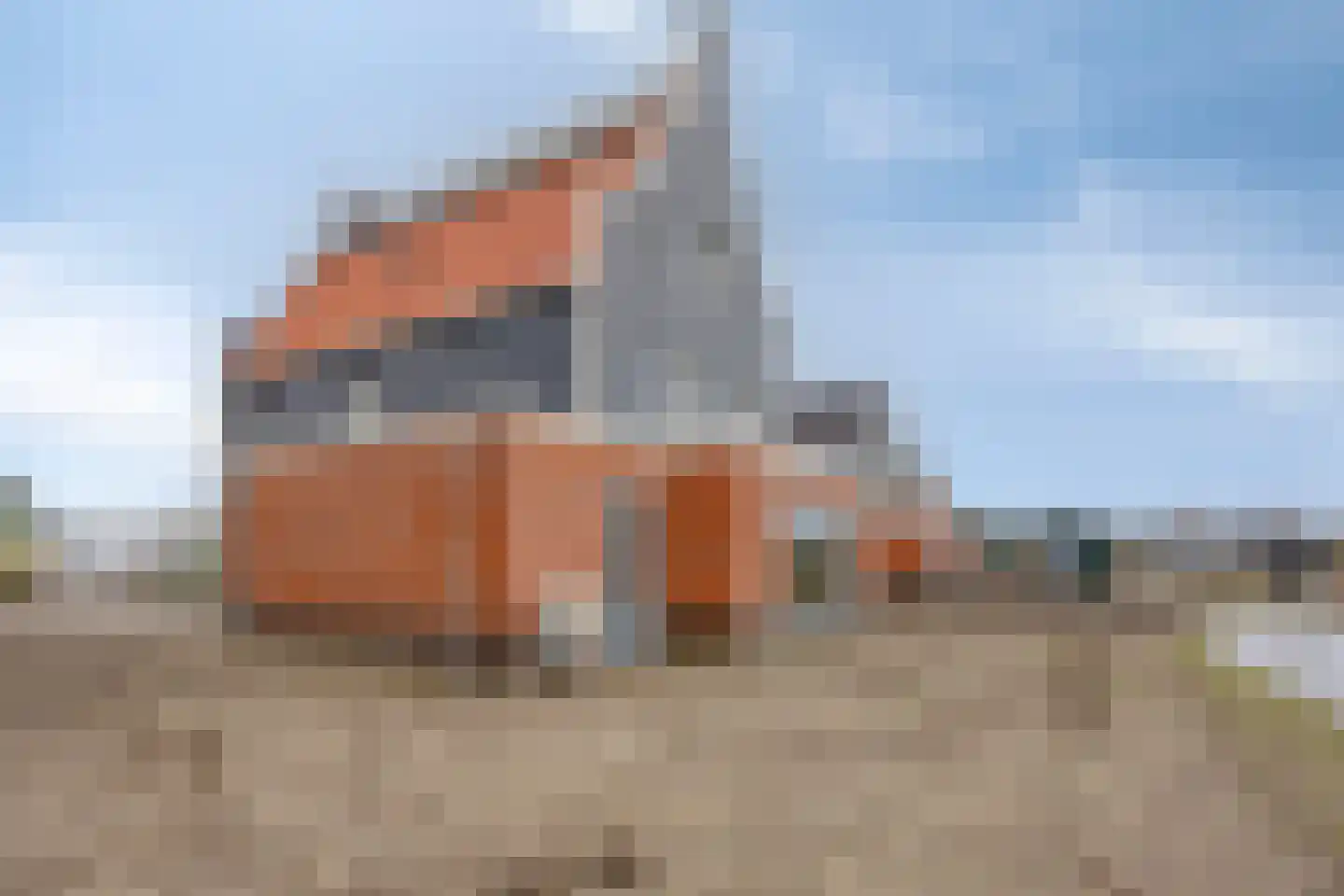 Knopbies 15 Assendelft thumbnail 31