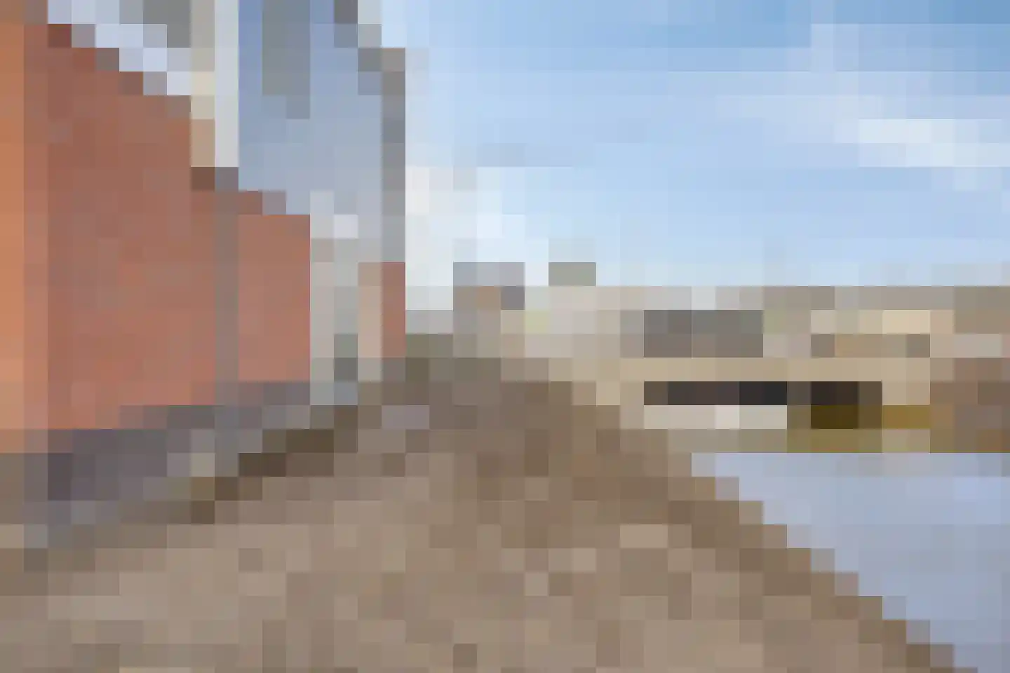 Knopbies 15 Assendelft thumbnail 33