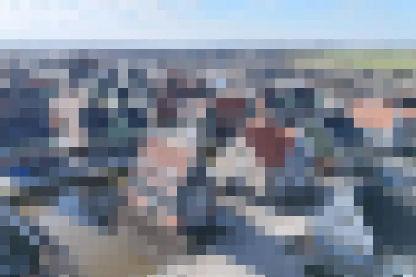 Knopbies 15 Assendelft thumbnail 4