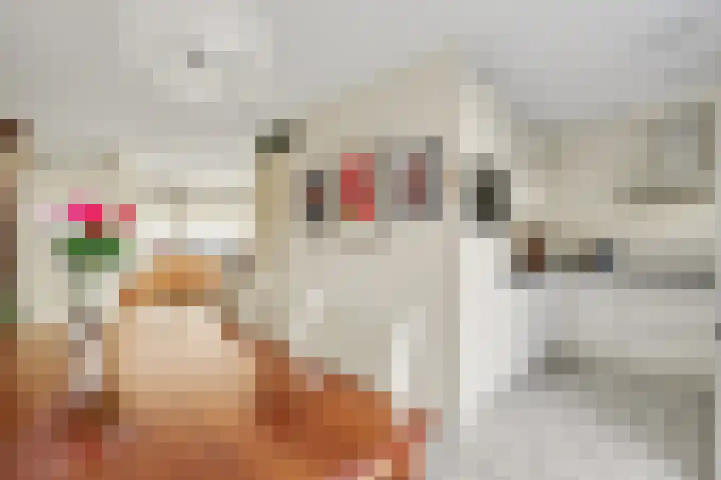 Knopenmakerstraat 19 Delfgauw thumbnail 10