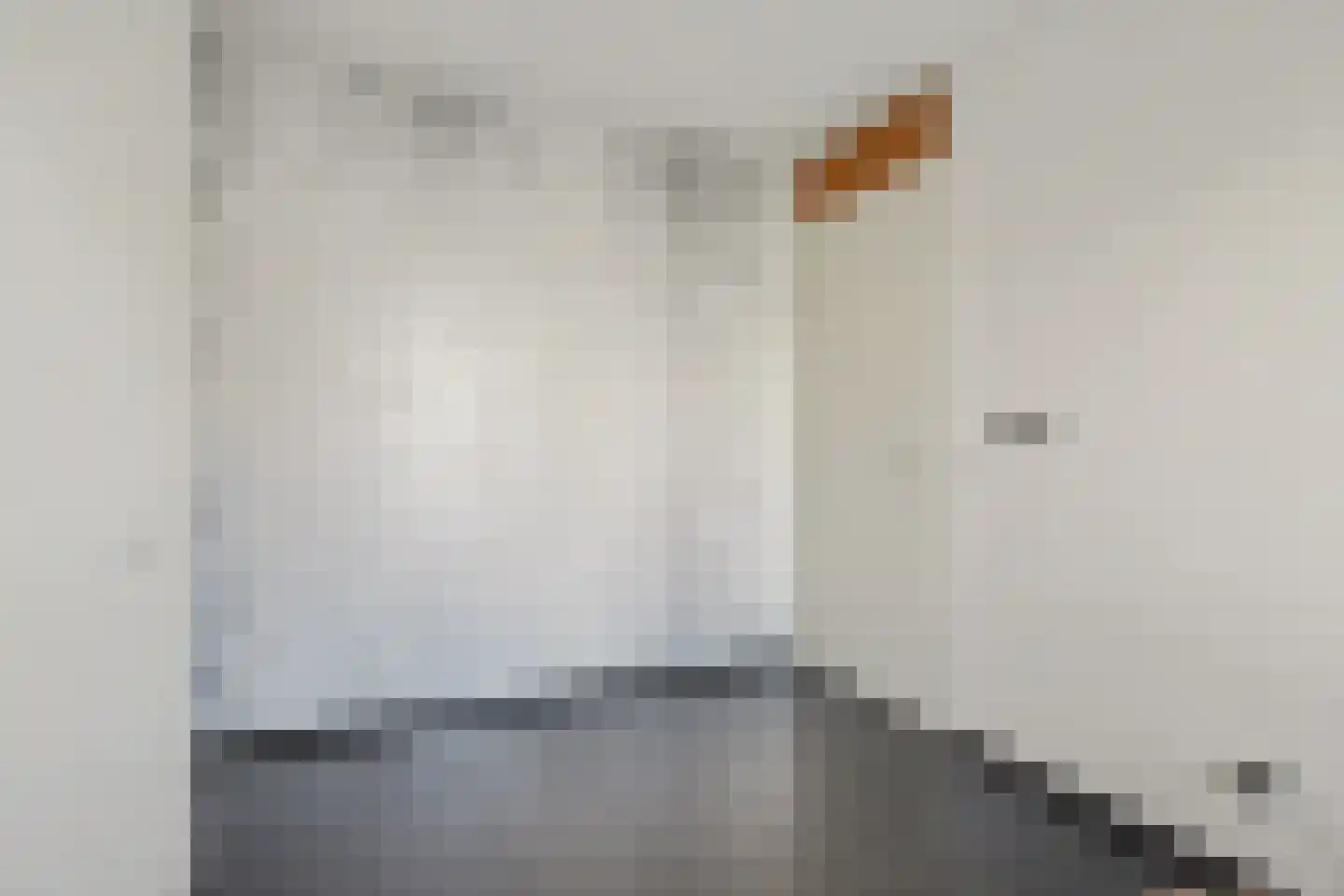 Knopenmakerstraat 19 Delfgauw thumbnail 24