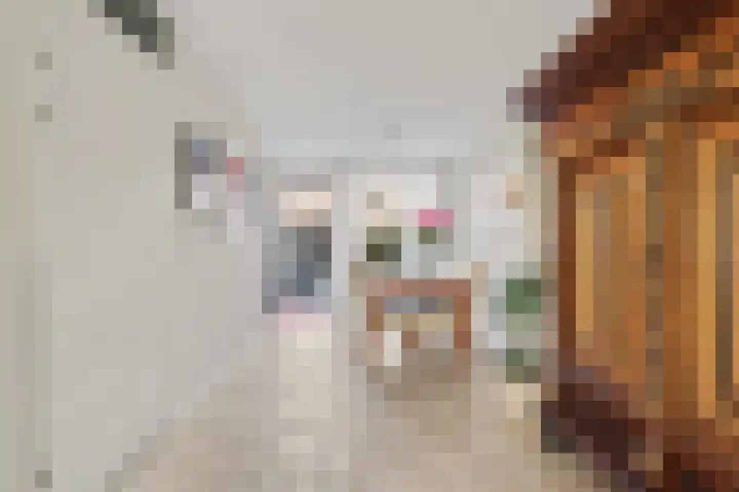 Knopenmakerstraat 19 Delfgauw thumbnail 9