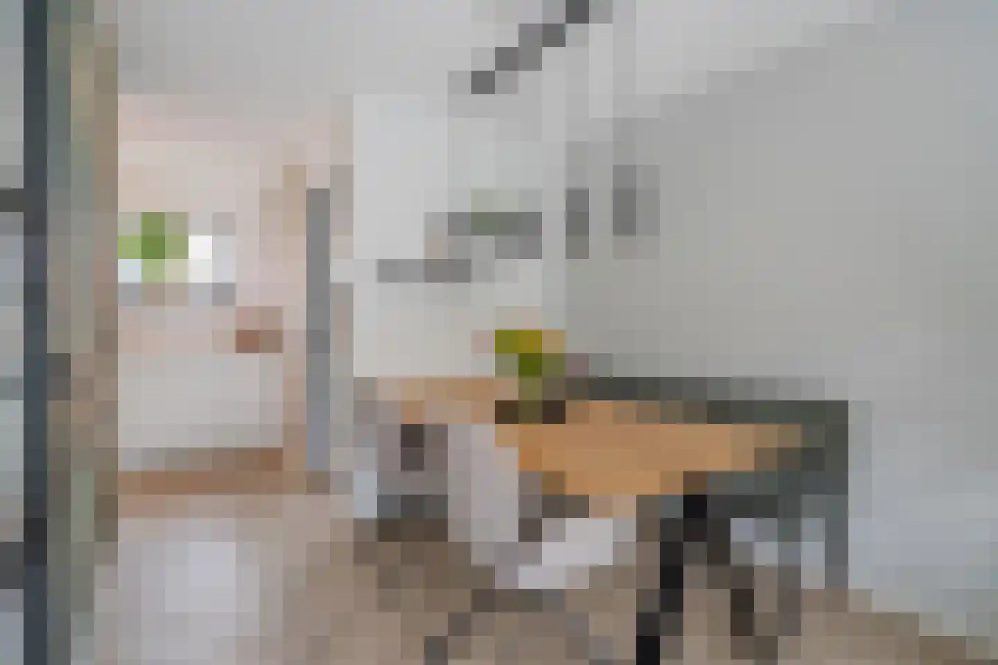 Knopenmakerstraat 32 Delfgauw thumbnail 13