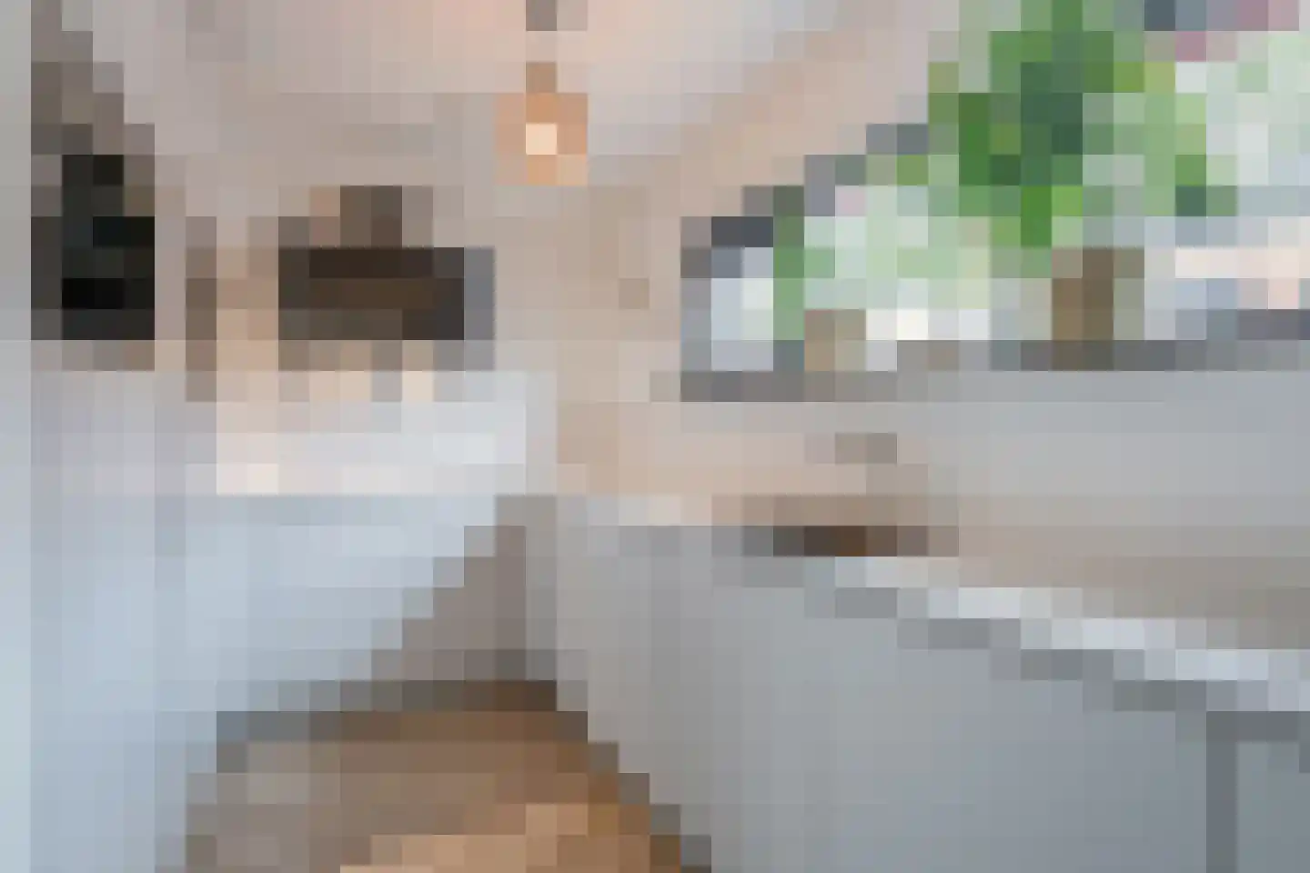 Knopenmakerstraat 32 Delfgauw thumbnail 14