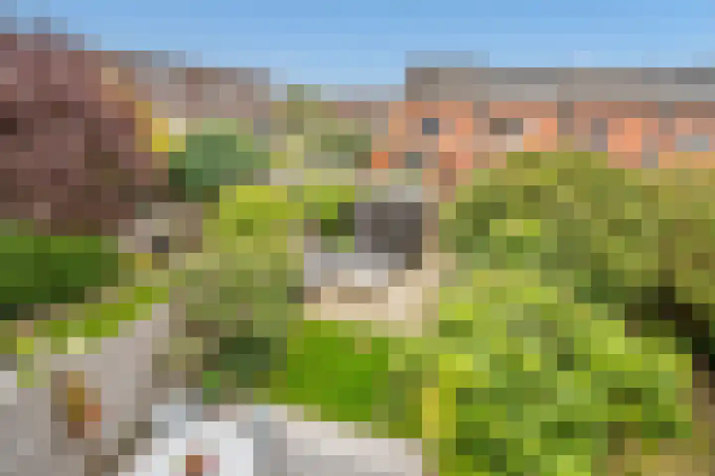 Knopenmakerstraat 32 Delfgauw thumbnail 33