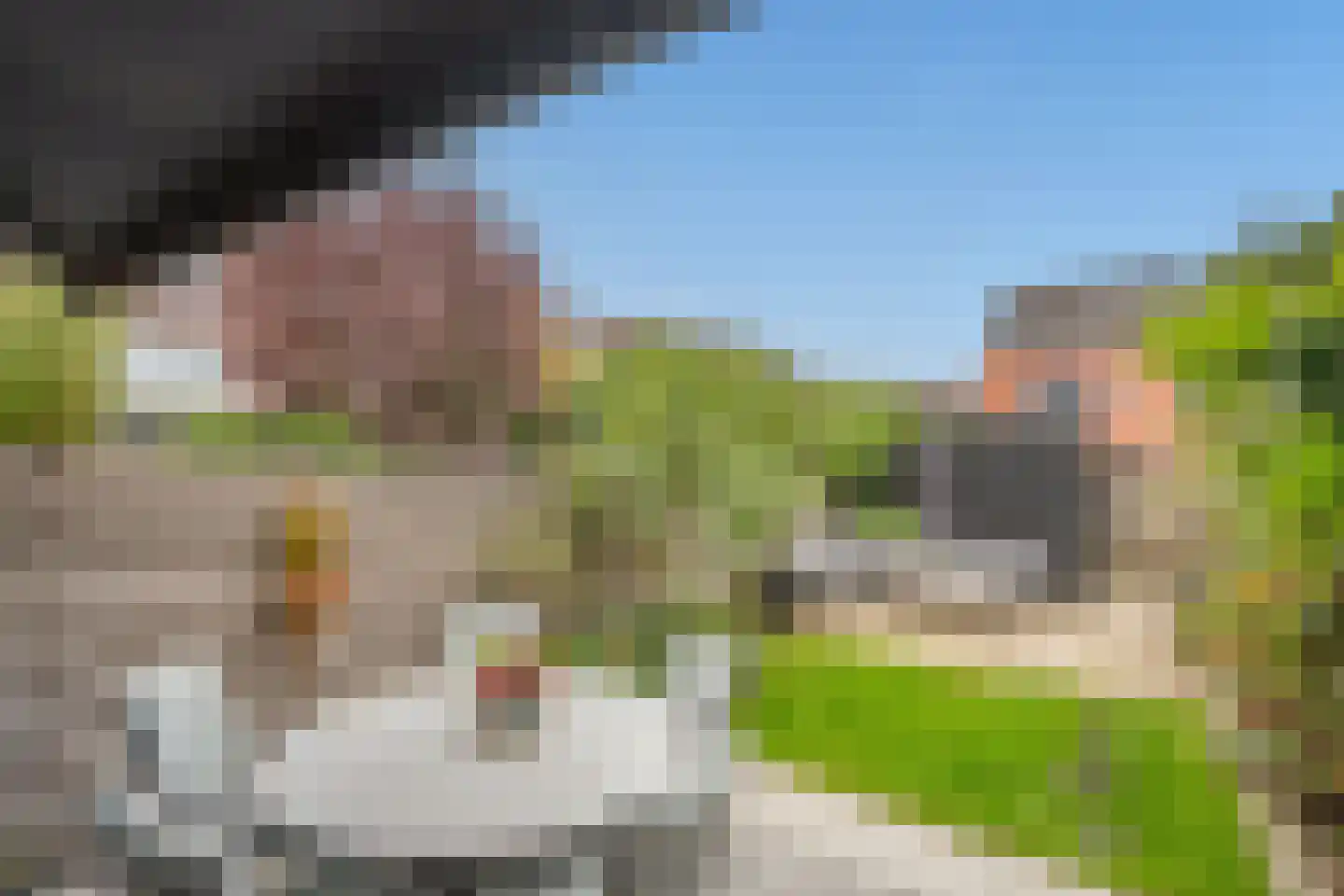 Knopenmakerstraat 32 Delfgauw thumbnail 5