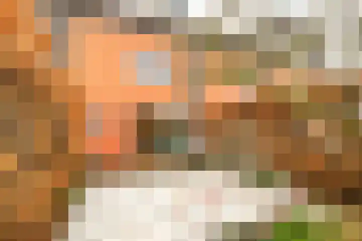 Knopenmakerstraat 5 Delfgauw thumbnail 18
