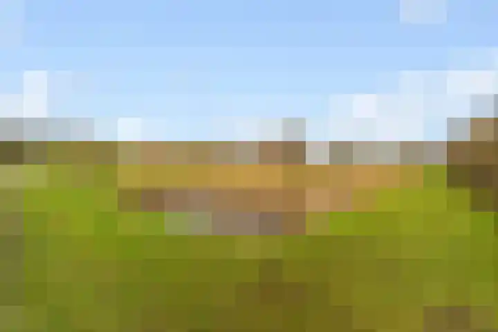 Knopenmakerstraat 5 Delfgauw thumbnail 32