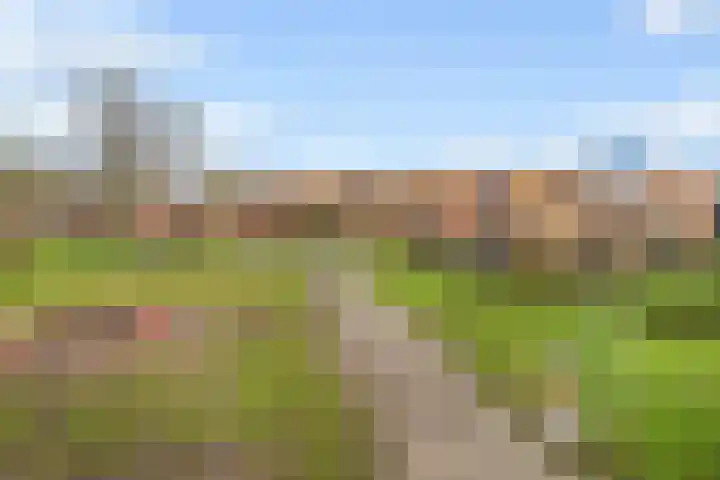 Knopenmakerstraat 5 Delfgauw thumbnail 33