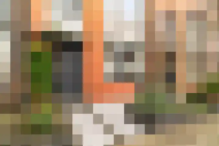 Knopenmakerstraat 5 Delfgauw thumbnail 6