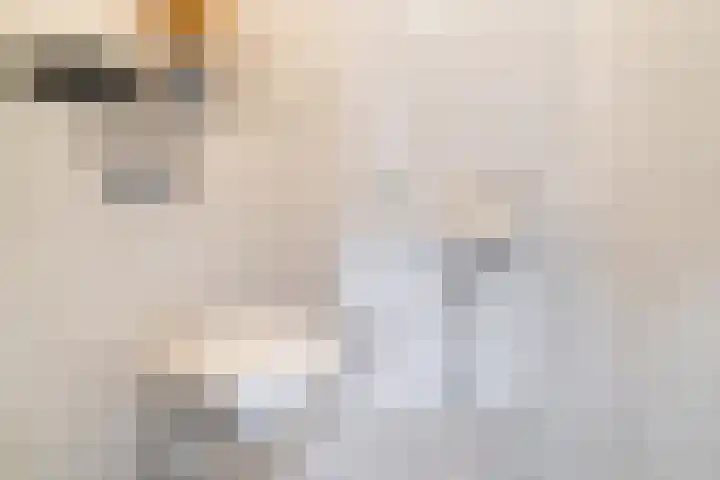Knopenmakerstraat 5 Delfgauw thumbnail 7