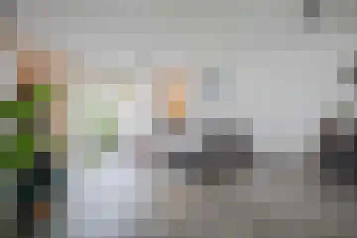 Knopkruid 17 Berghem thumbnail 11