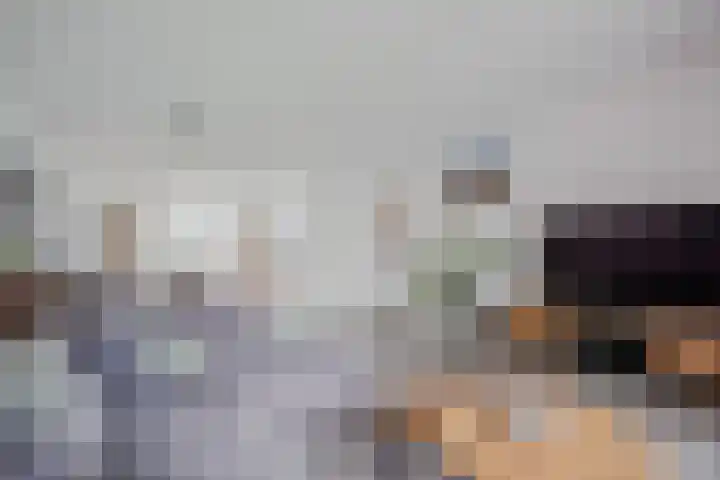 Knopkruid 17 Berghem thumbnail 13