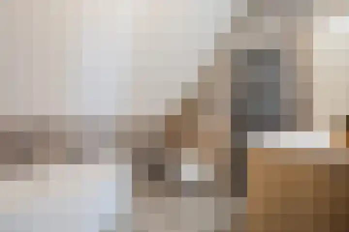 Knopkruid 17 Berghem thumbnail 4