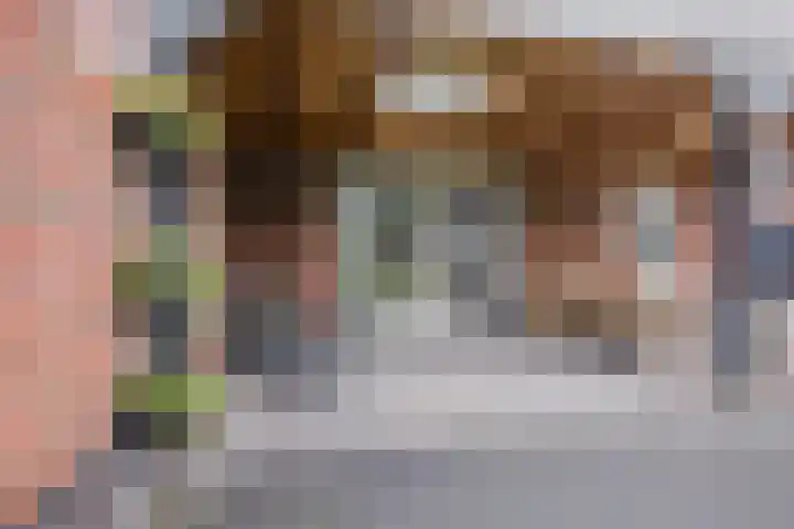 Knopkruid 17 Berghem thumbnail 47