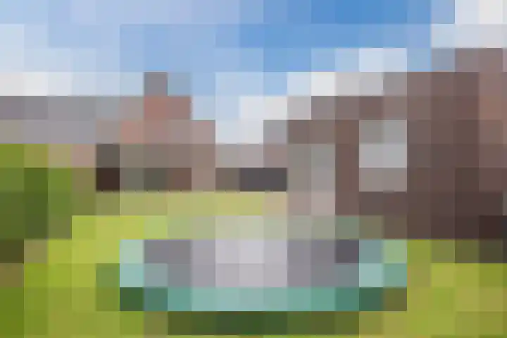 Knopkruid 17 Berghem thumbnail 49