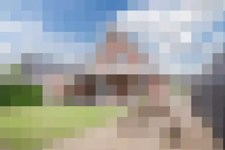 Knopkruid 17 Berghem thumbnail 5
