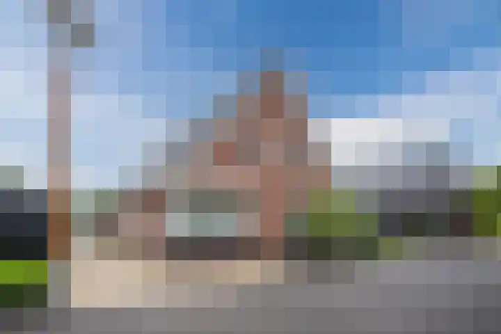 Knopkruid 17 Berghem thumbnail 6