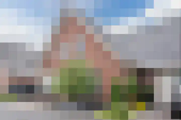 Knopkruid 17 Berghem thumbnail 7