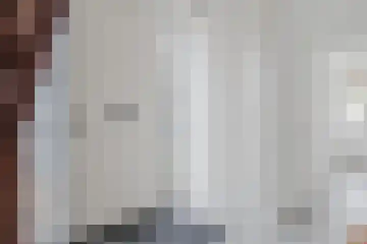 Knopkruid 17 Berghem thumbnail 8