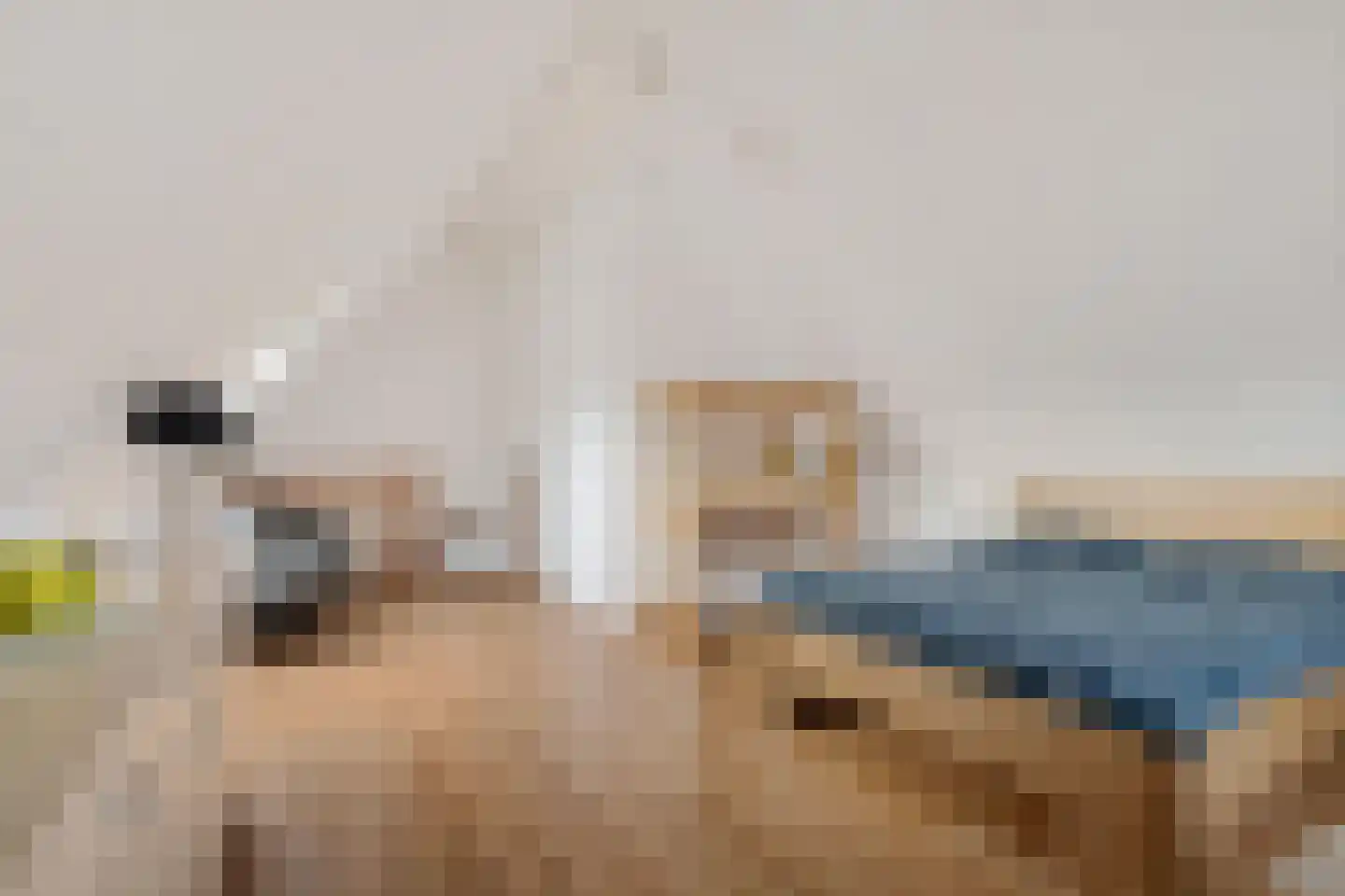 Knopkruid 19 Berghem thumbnail 34