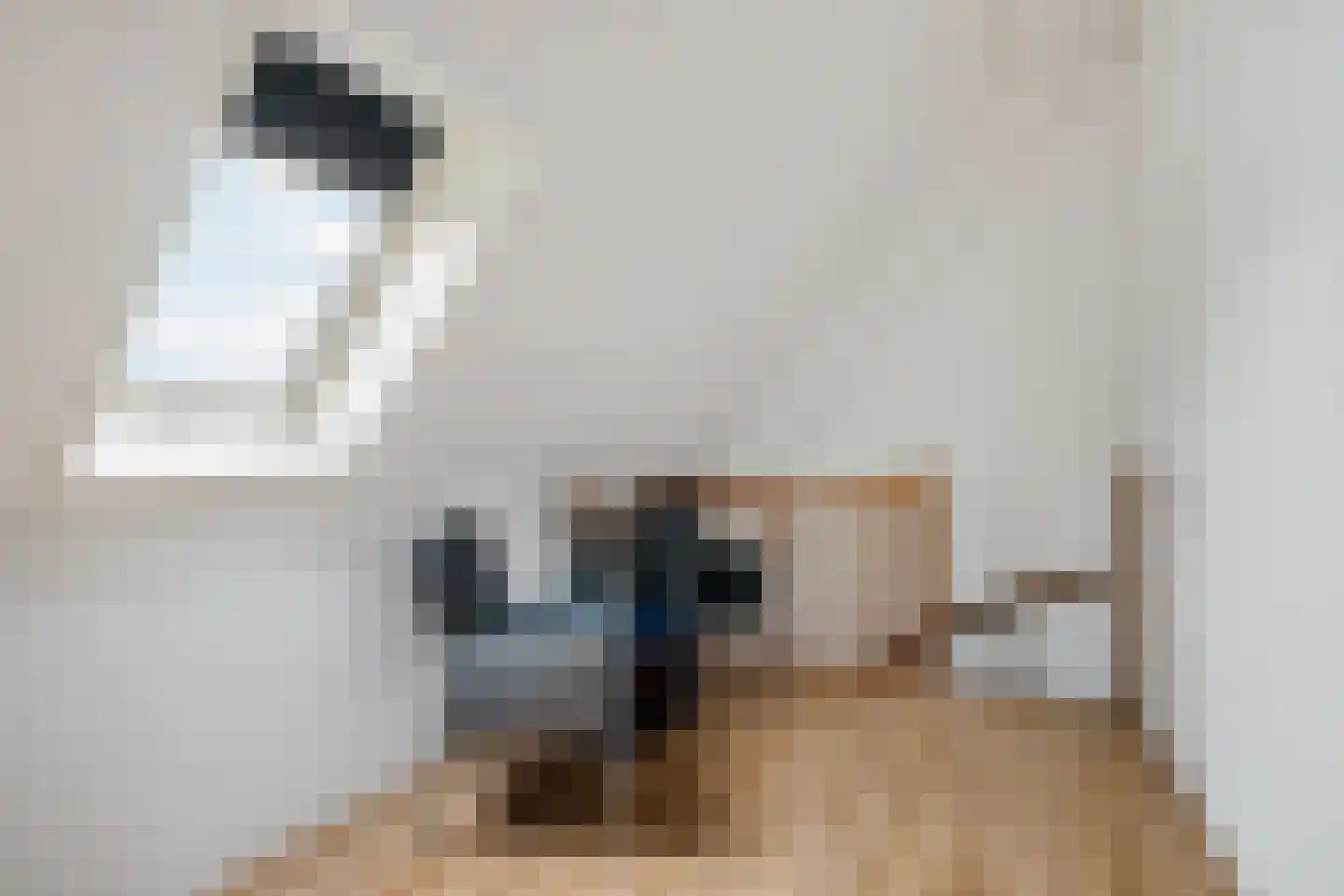 Knopkruid 19 Berghem thumbnail 38