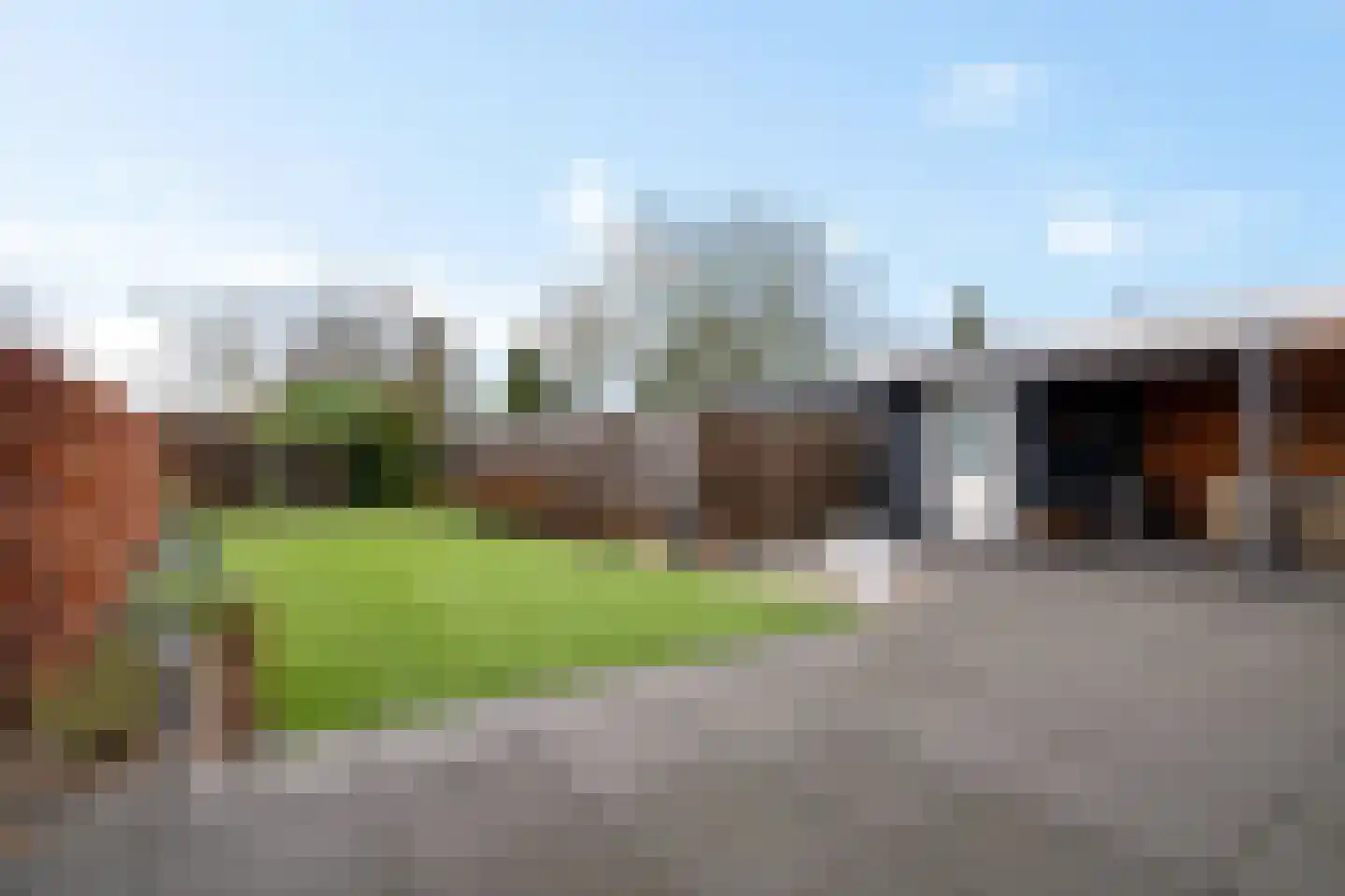 Knopkruid 19 Berghem thumbnail 40