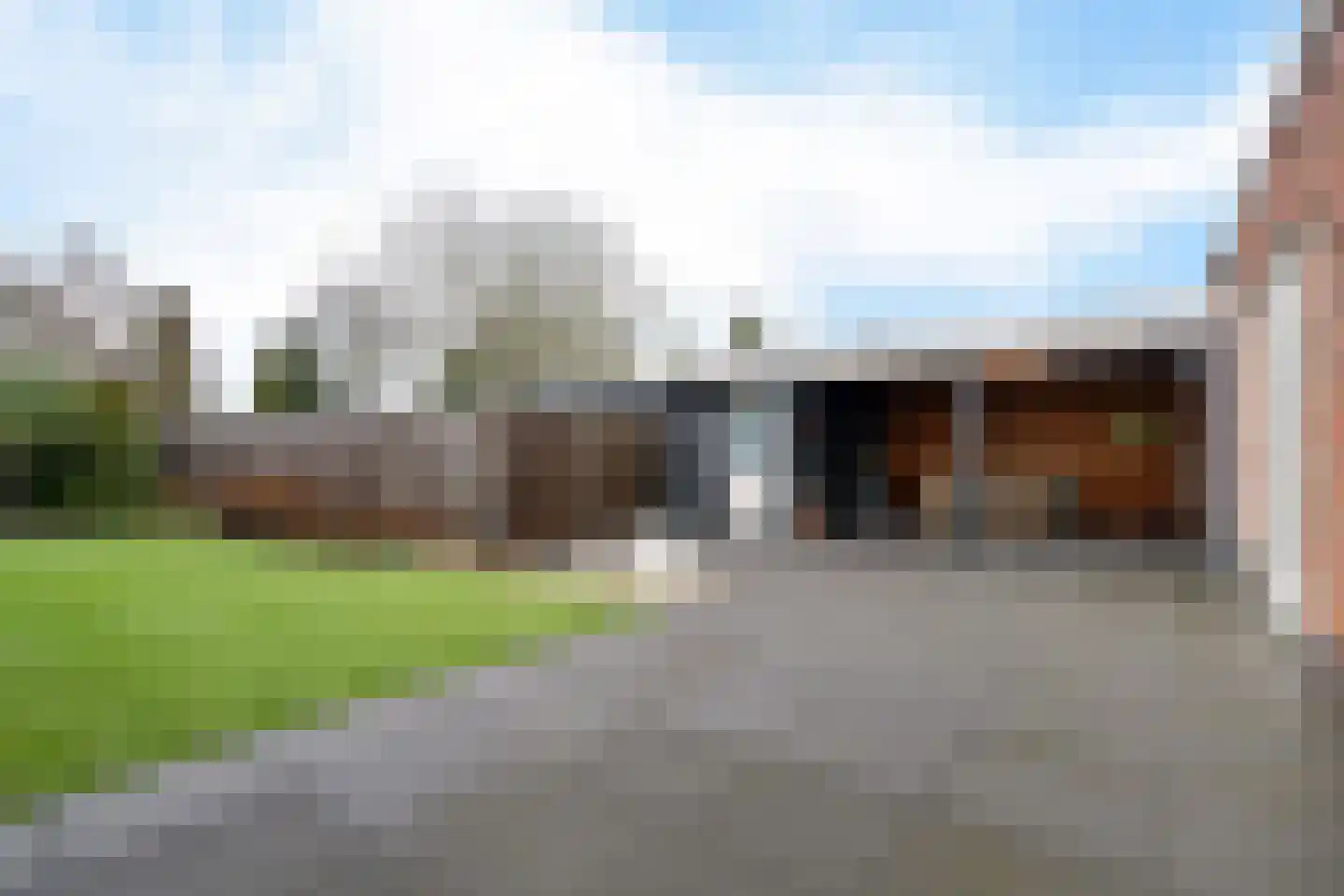 Knopkruid 19 Berghem thumbnail 42