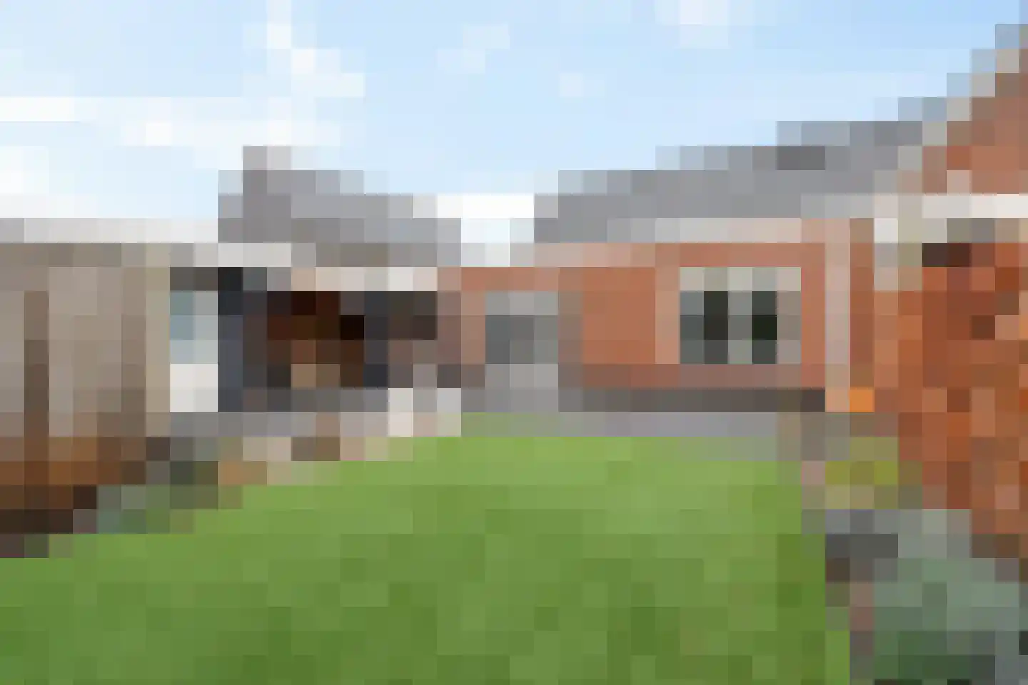 Knopkruid 19 Berghem thumbnail 43
