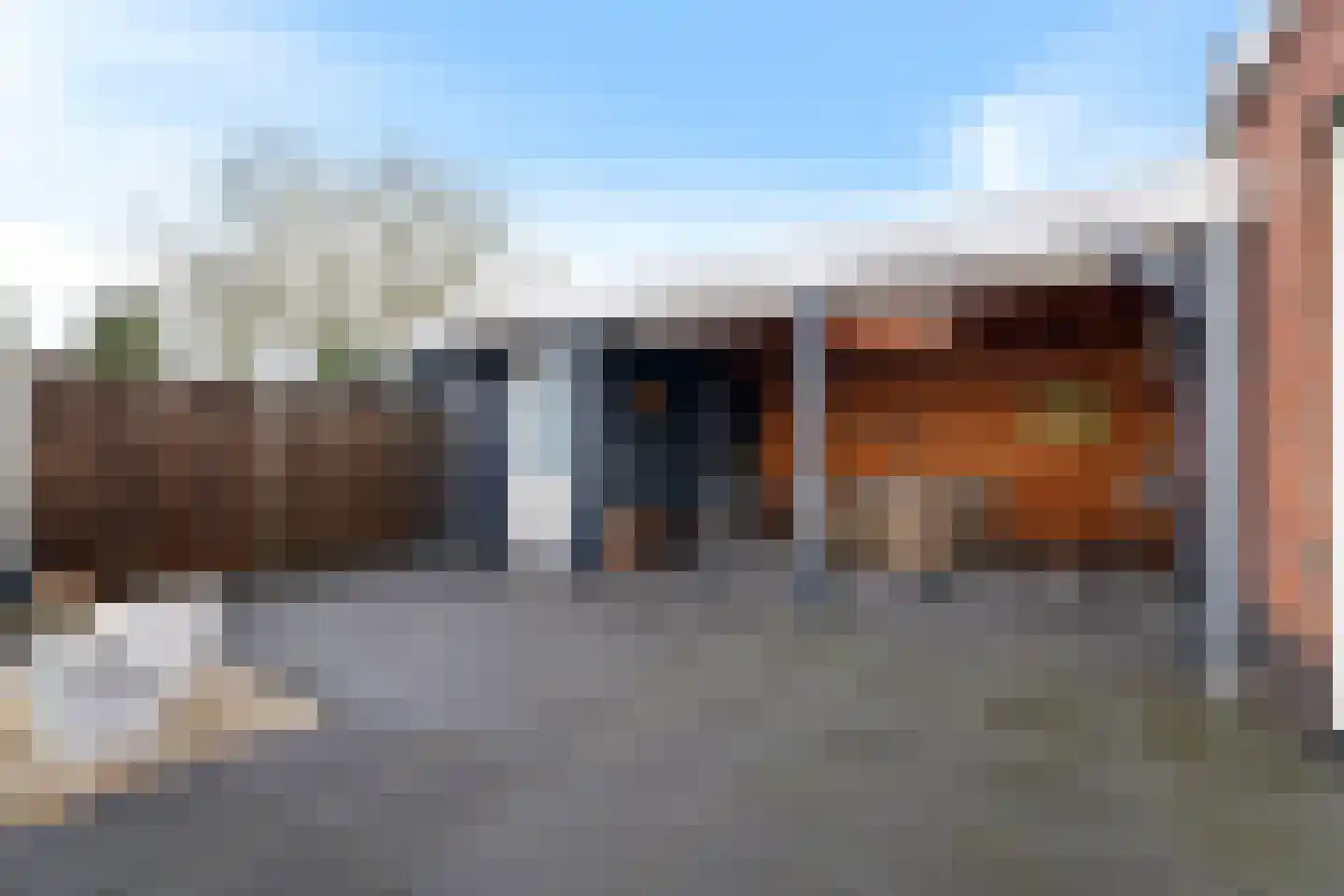 Knopkruid 19 Berghem thumbnail 44