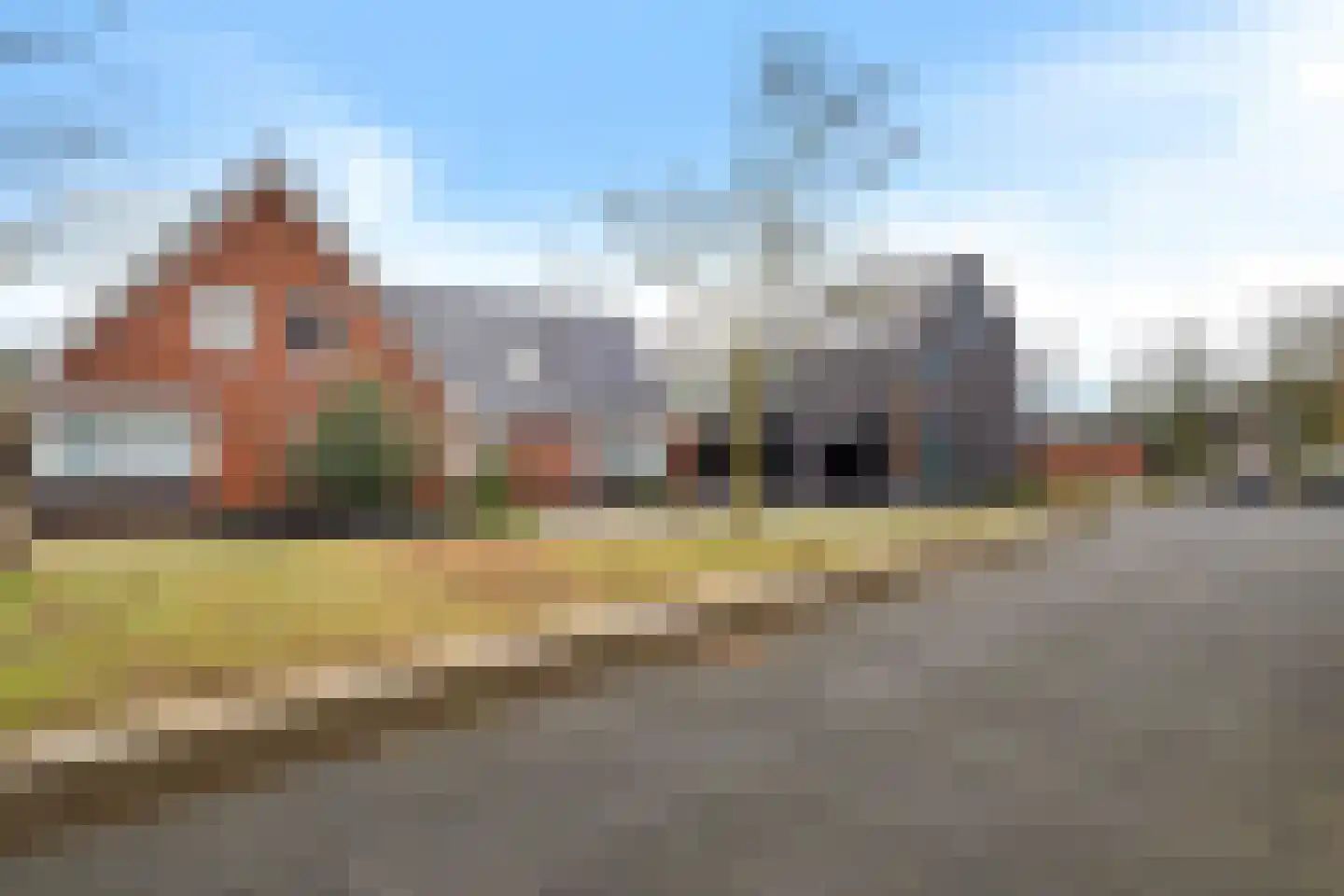 Knopkruid 19 Berghem thumbnail 47