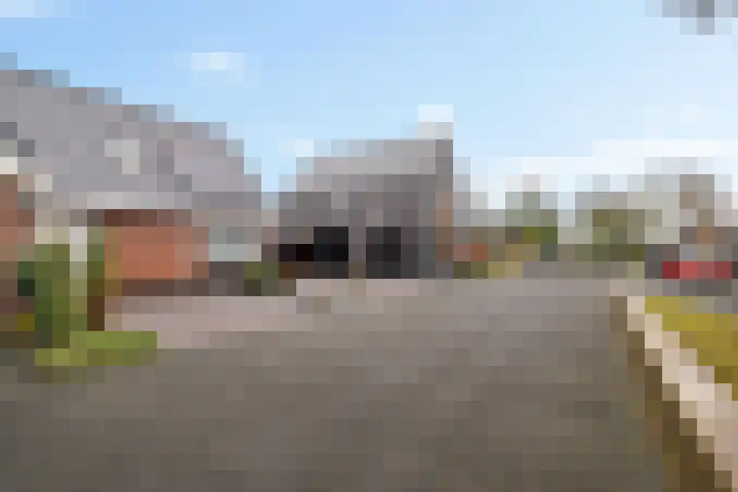 Knopkruid 19 Berghem thumbnail 48
